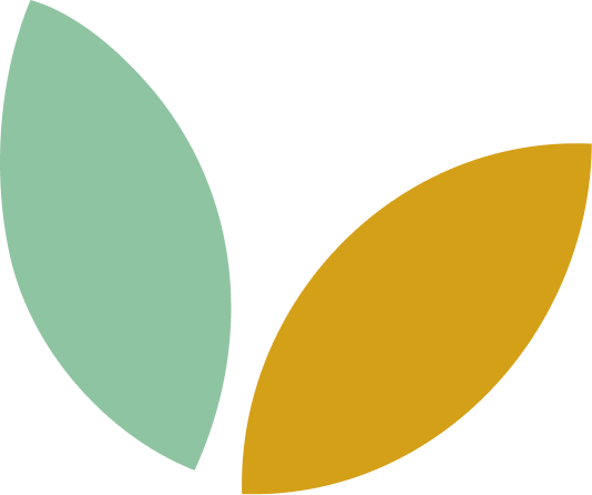 About Shape