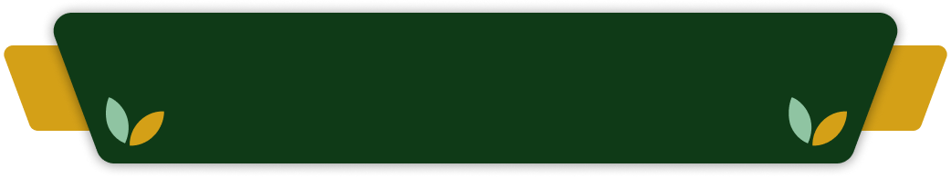 Strategy Banner